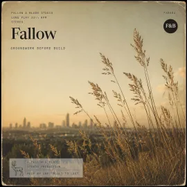 FAB004 Fallow: native grasses against a hazy Brisbane skyline at dusk.